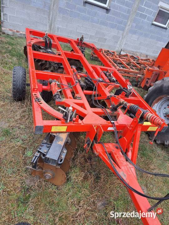 Talerzówka łódzkie Lasek