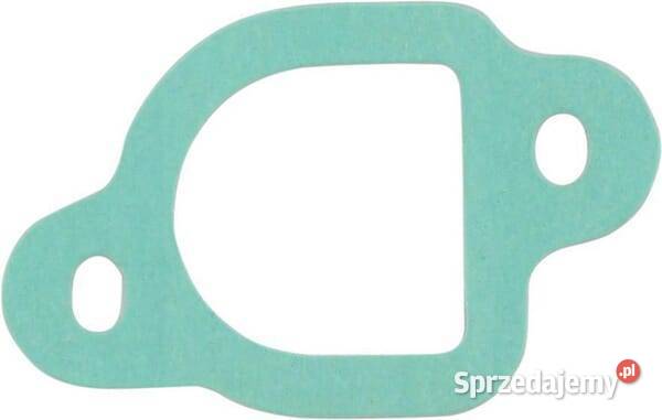 Uszczelka gaźnika 17151Z0A000 Kamionna