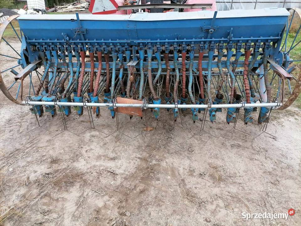 Siewnik konny Wierzbica