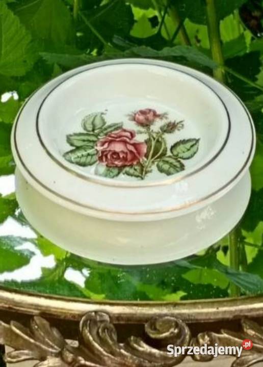 Wedgwood of Etruria Barlaston Moss Rose paterka sprzedam