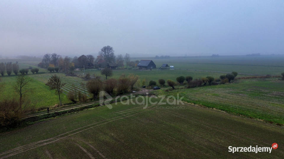 Grunt Drewnica Wierzbowa 3012m2