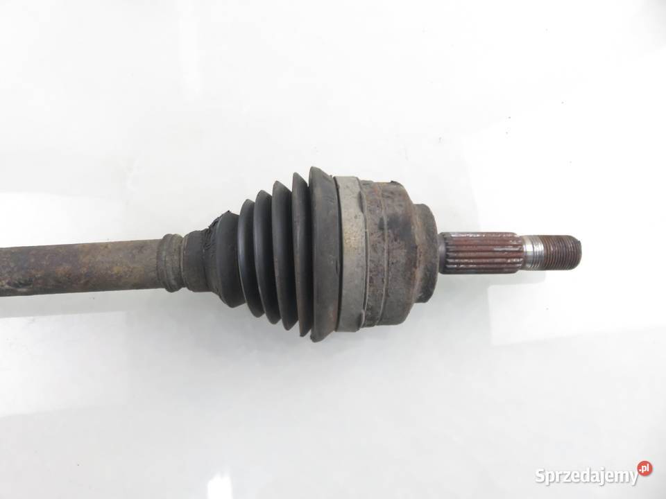 PÓŁOŚ LEWA PRZEDNIA RENAULT KANGOO I 19 D małopolskie