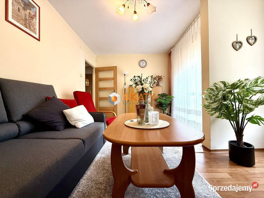 Mieszkanie 384m2 2 pokoje Zielona Góra parter