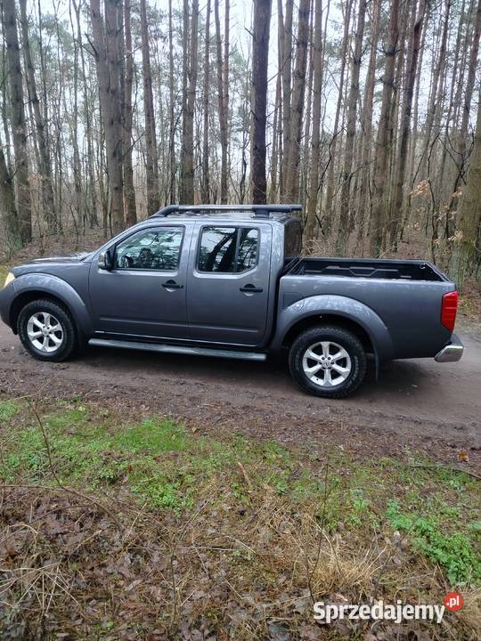 Nissan Navara Lift 178 nieuszkodzony Navara Budzyń