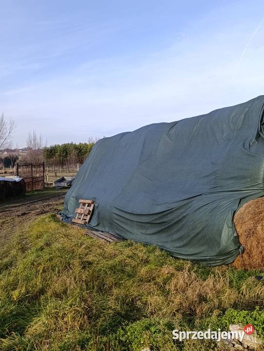 Baloty podkarpackie Nowy Żmigród