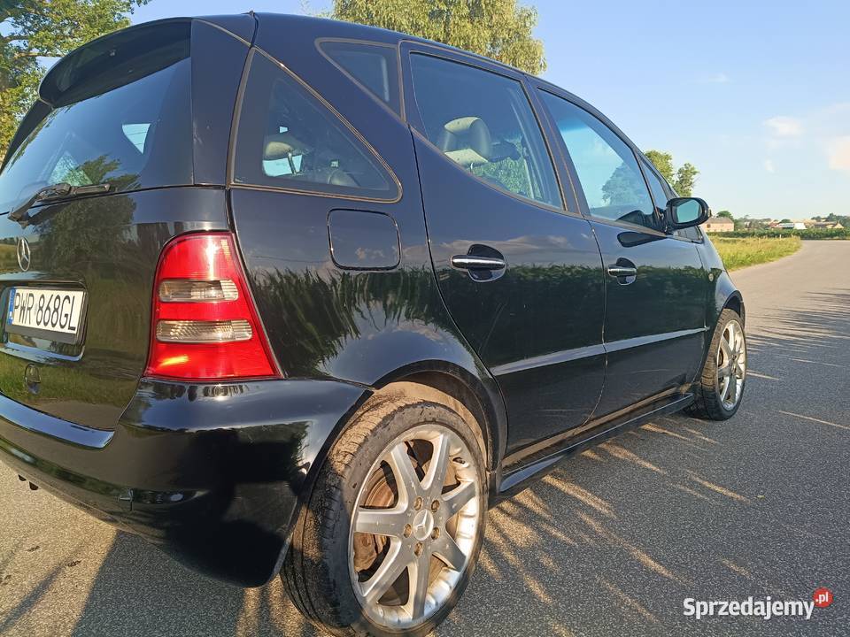 A210 Evolution zamiana Klasa A wielkopolskie Pyzdry