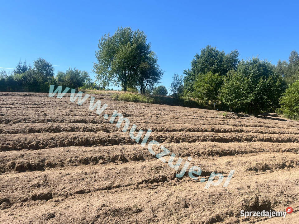 Mulczowanie wgłębne powierzchowne Chrzanów