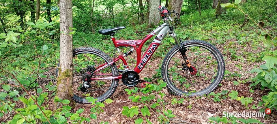 Rower Downhill Delta Sport 505 podkarpackie Połomia