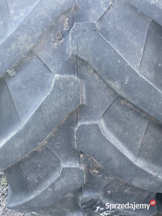 Opona 6006538 Góra Bałdrzychowska