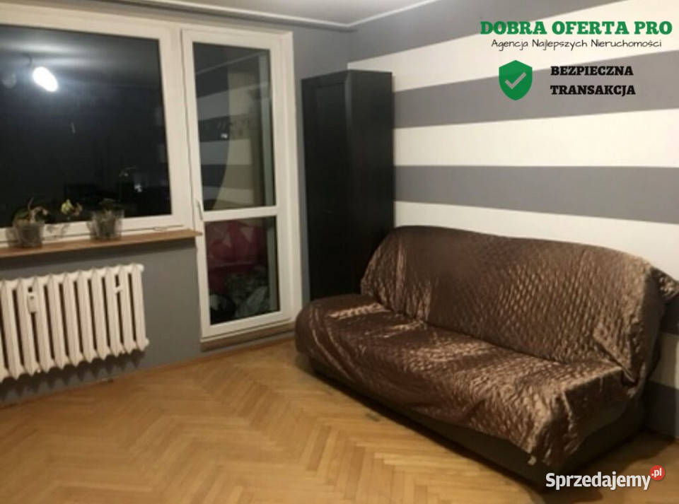 ielony azyl w Gdańsku widok na las