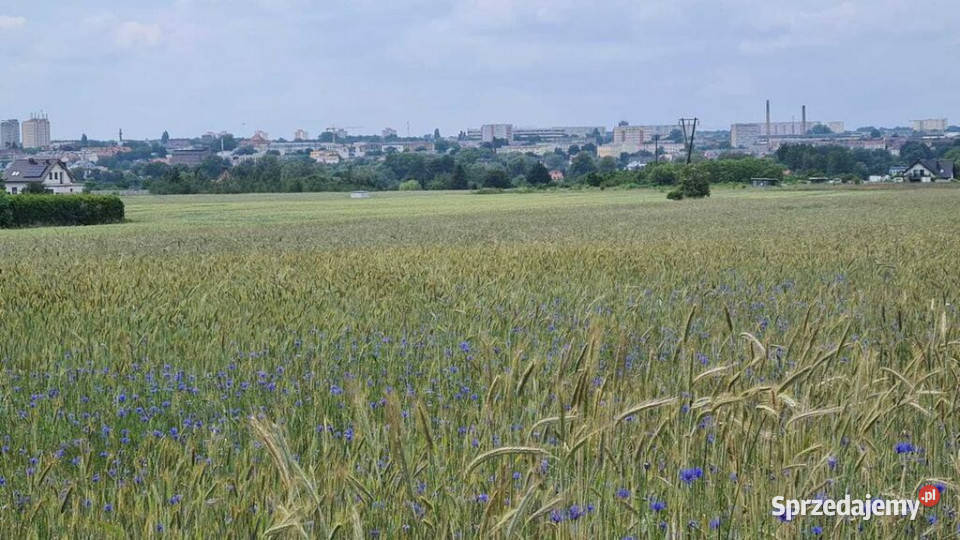 Działka budowlana z pięknym widokiem budowlana Stargard