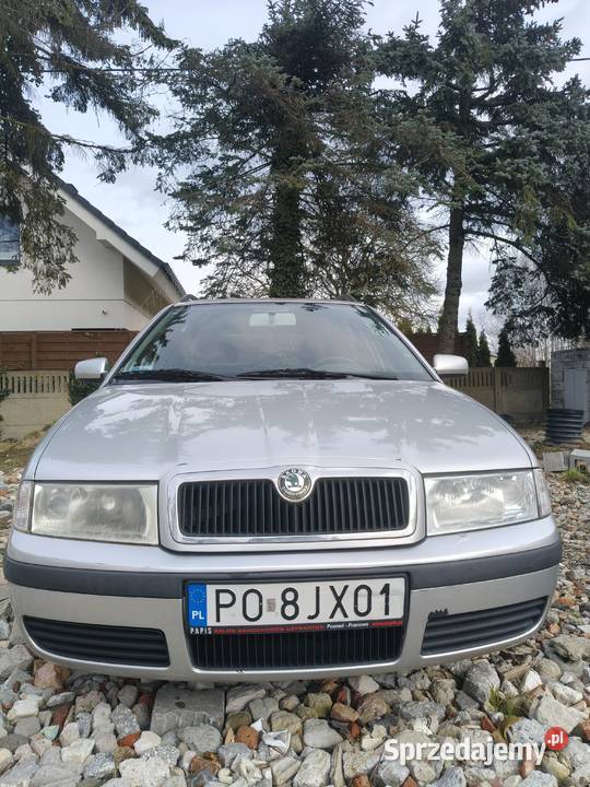 Skoda Octavia I 16MPI 2004 Gruszczyn