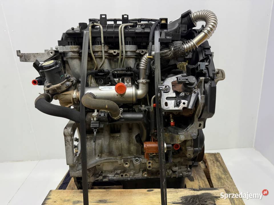 SILNIK G8DF Ford Focus II MK2 C C 16 TDCI 109 Chełm