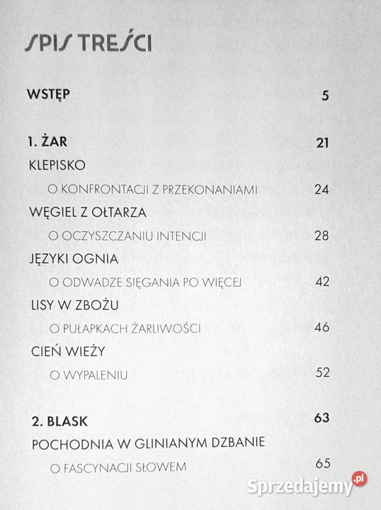 Płomień pasji Wojciech Jędrzejewski OP