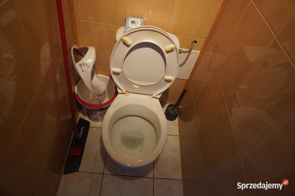 Lokal Grudziądz