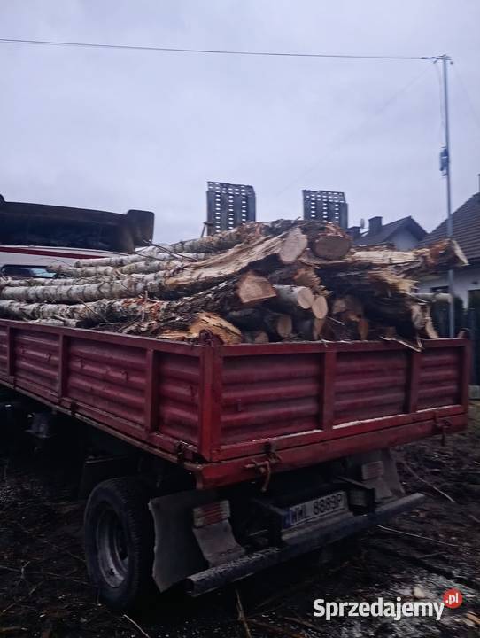 drewno brzoza opałowa dowóz Warszawa