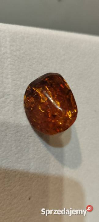 Broszki mazowieckie Gostynin sprzedam