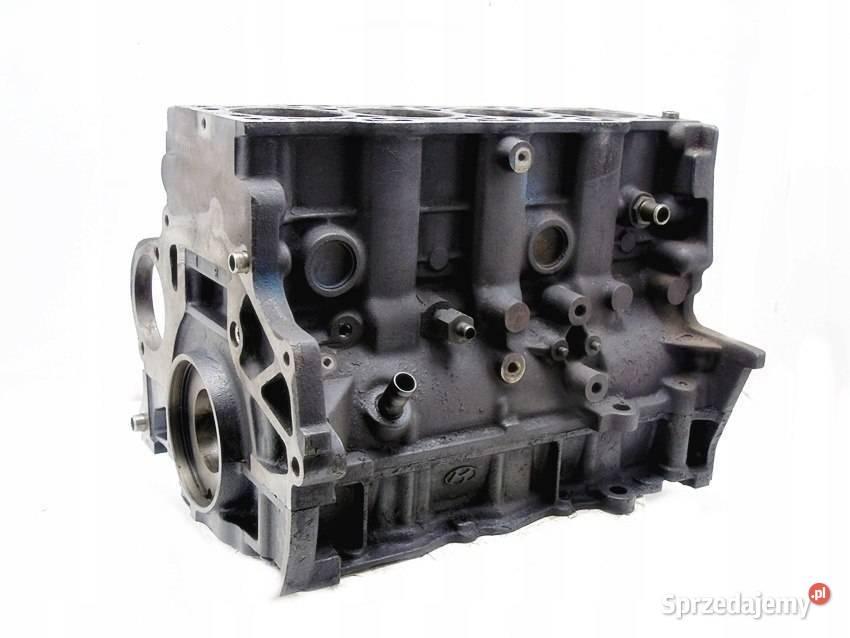 BLOK D4EA 20 CRDI SANTA FE CARENS SPORTAGE 2 Sosnowiec sprzedam