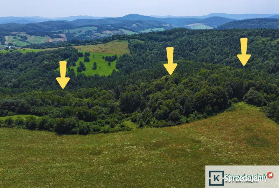 sprzedaży działki Łukowe 19327m2