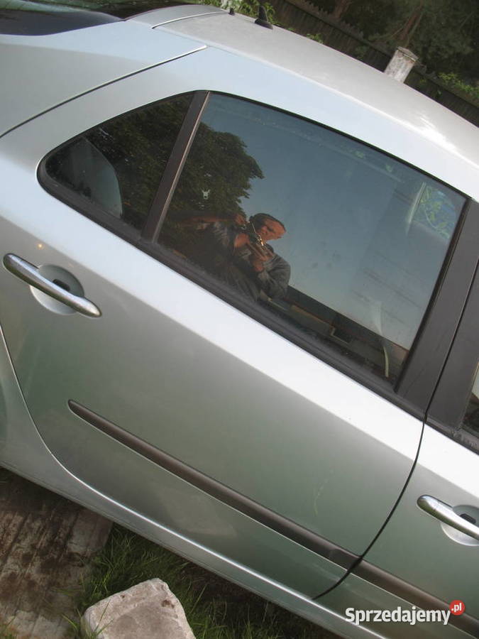 drzwi renault laguna II teb64 Lublin