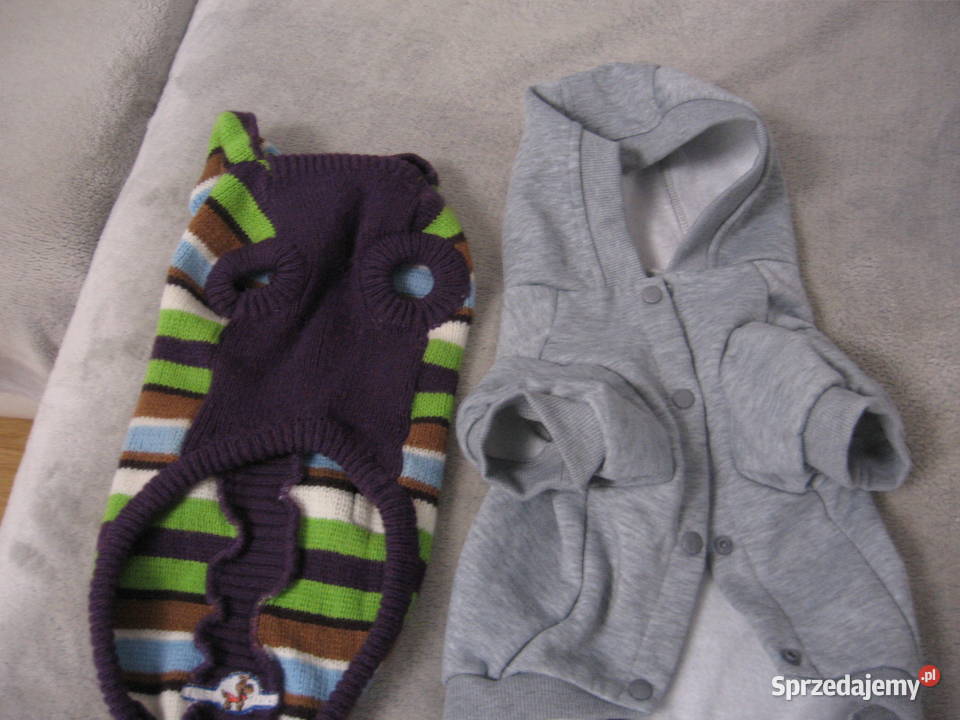 Ubranka psa małego bonus smycz sznurkowa Dla psów warmińsko-mazurskie Olsztyn