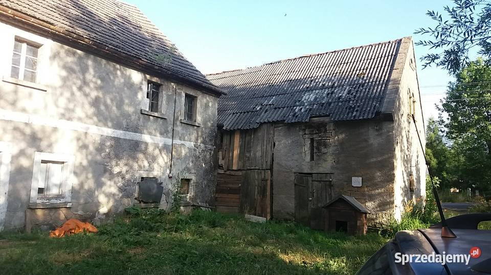 Dom z polem i lasem Czaple sprzedam