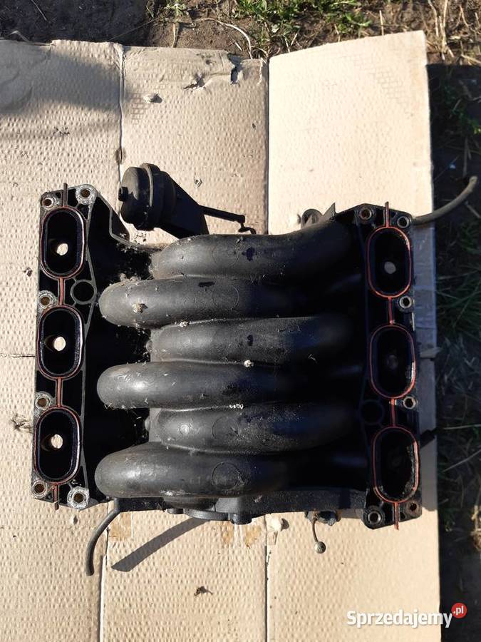 A6 C5 24 Kolektor ssacy Rok produkcji 1998 Mińsk Mazowiecki