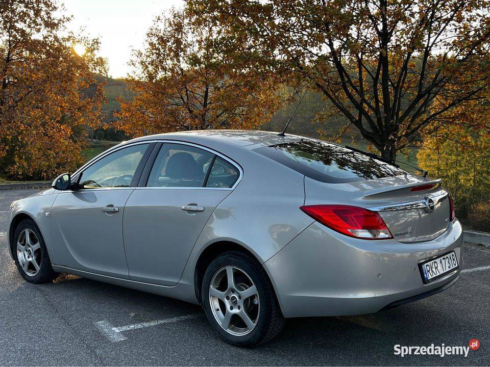 Opel Insignia 20 CDTI nieuszkodzony Rymanów sprzedam