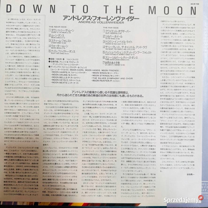 Down To The Moon LP Andreas Vollenweider Winyl płyta winylowa Warszawa