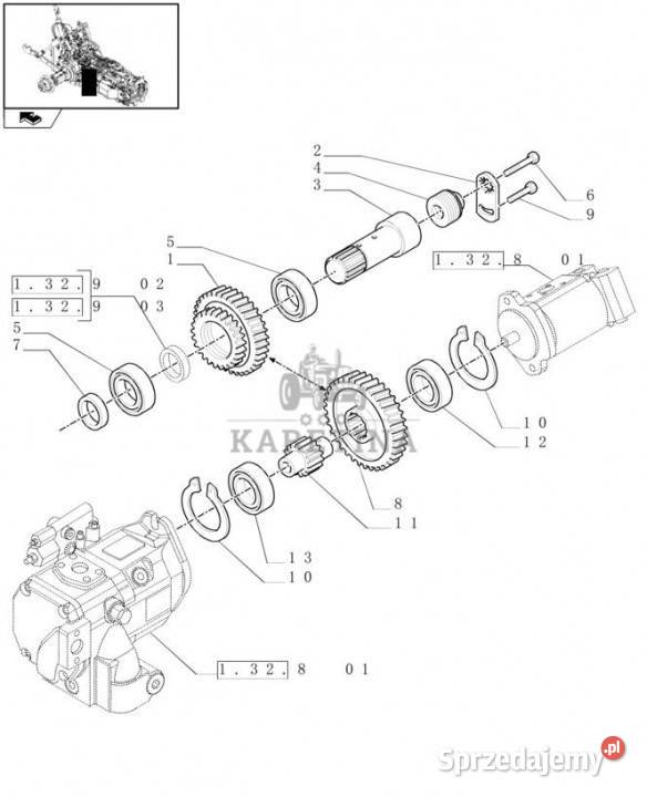 Holland T6010 T7230 Koło zębate z46z55 87389628 Jastrzębniki