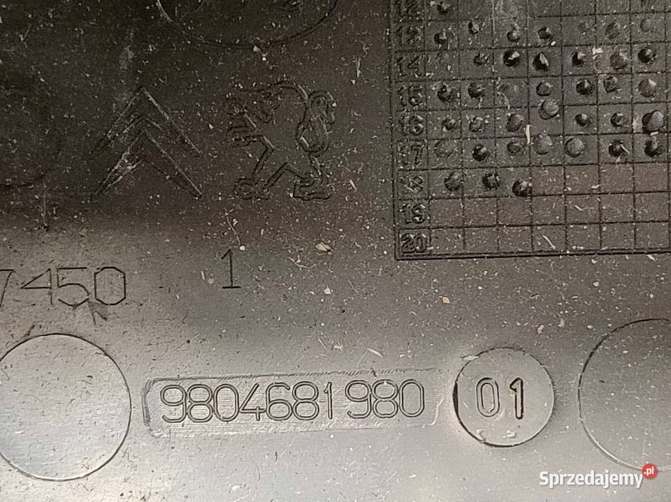 Obudowa Skrzynki Bezpieczników Citroen DS7 1722 wielkopolskie Pleszew