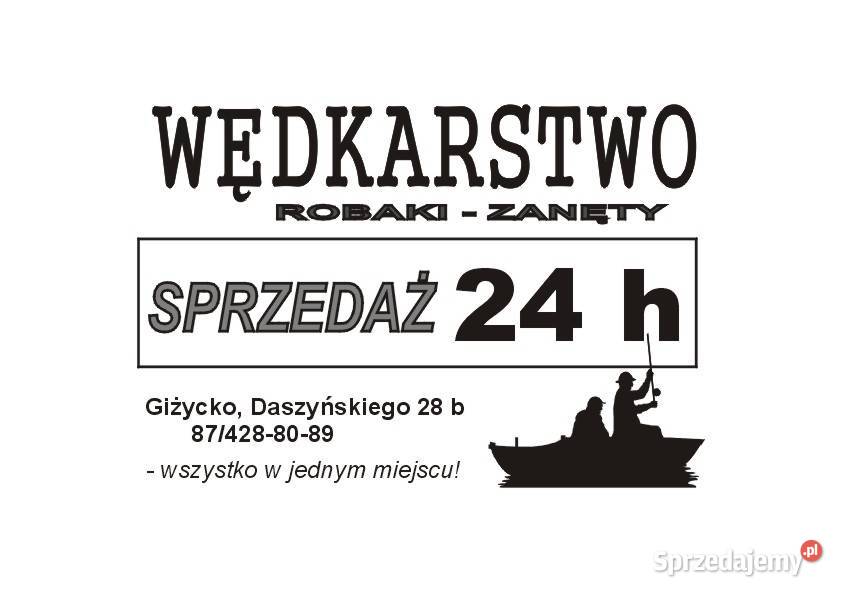 SILNIK elektryczny 38 lbs moc 504 W Giżycko