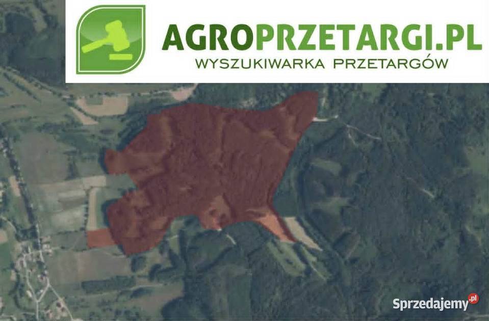 Dzierżawa 526 ha gruntu rolnego rolna