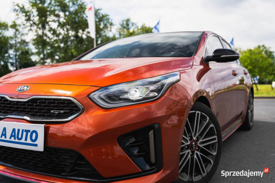 Kia ProCeed GT 16 TGDI dolnośląskie Bielany Wrocławskie