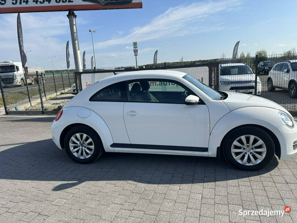 Volkswagen Beetle mazowieckie