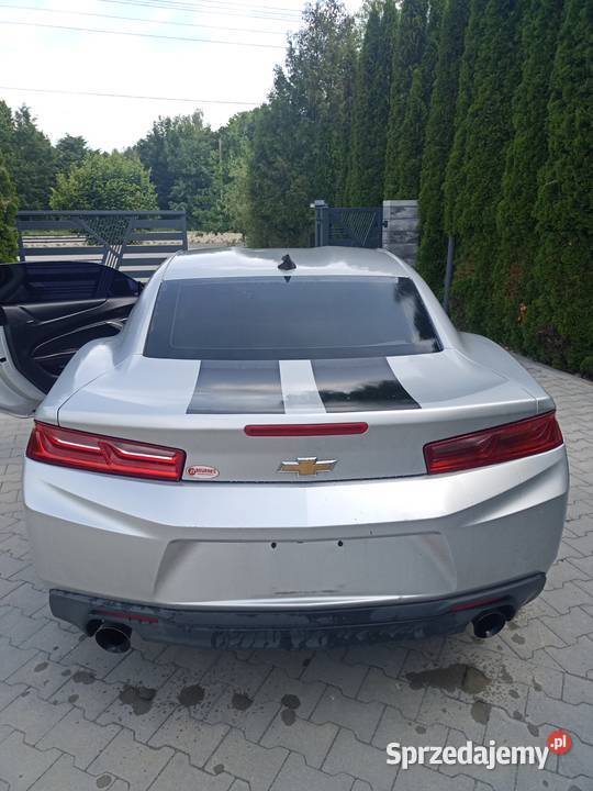 Camaro 6 lubelskie Chełm