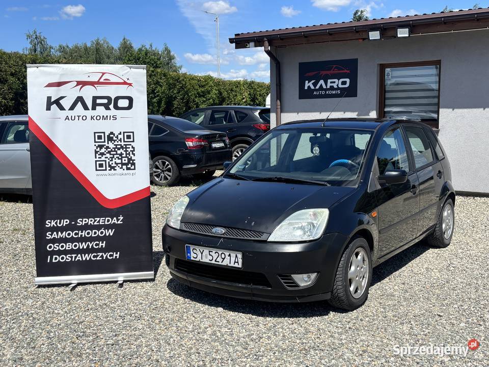 Ford Fiesta Paniówki