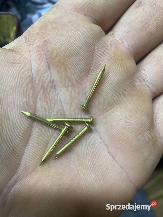 Gwoździe mosiężne Gwoździe śląskie Bytom sprzedam