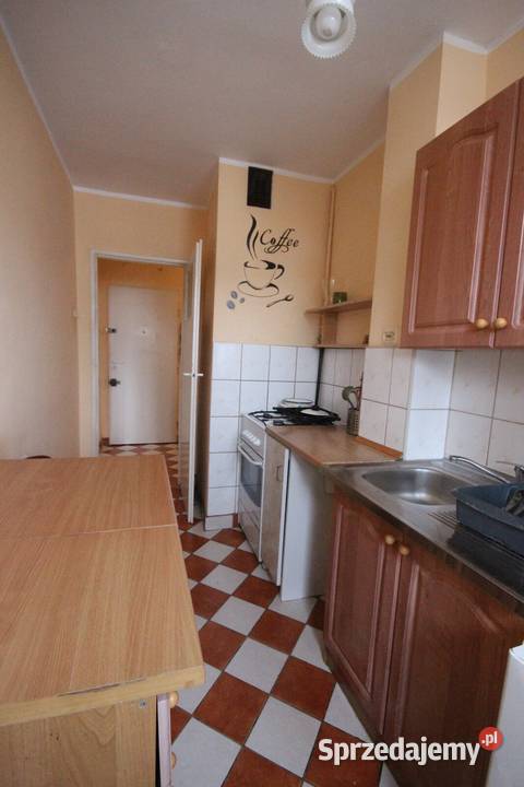 2pok 39met Ścinawskiej PIWNICAWINDA Wrocław 12788zł/m2 Sprzedaż