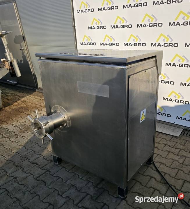 Wilk masarski śląskie Dobieszowice
