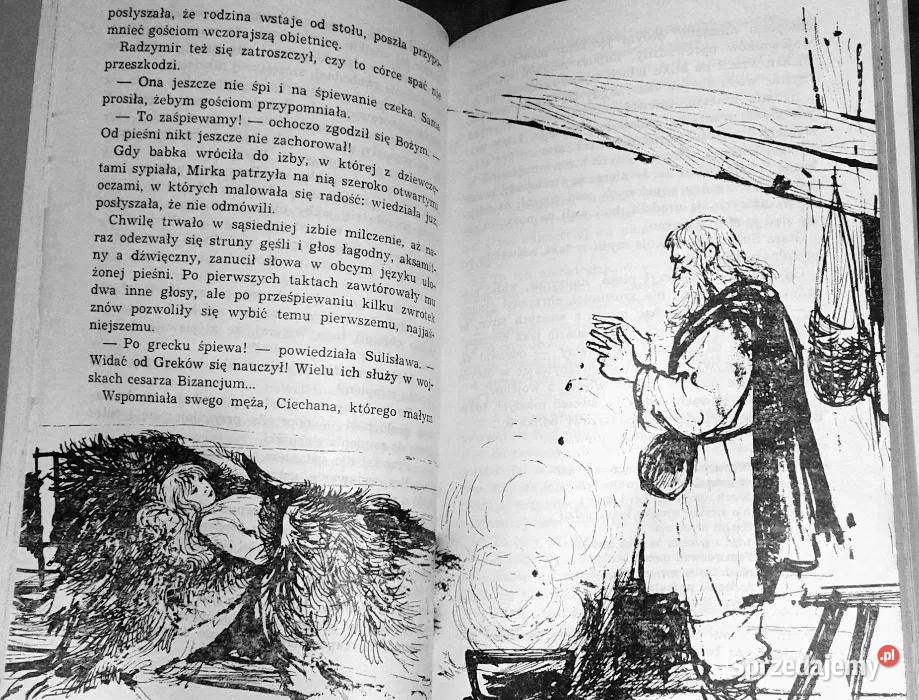 Lubuskie dziewanny Janina Brzostowska Chełm