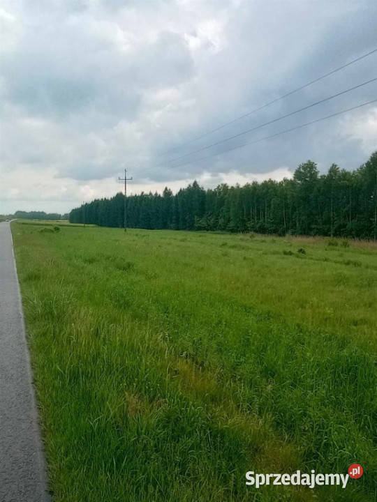 Grodzisko Dolne Działka pod lasem 4720 ar z WZ