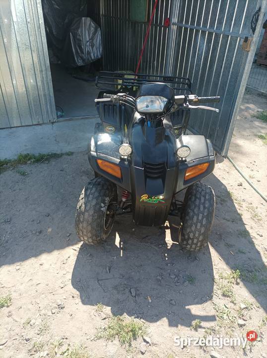 sprzedam Quada DINLI Sachs 100 Rok produkcji 2003 Motoryzacja