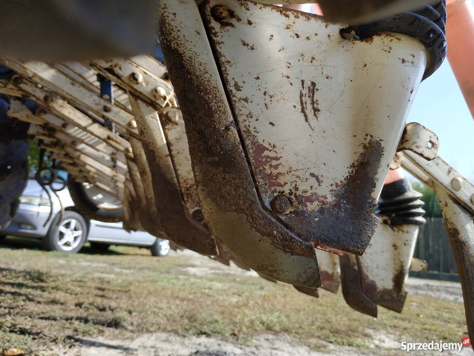 Siewnik Poznaniak 6 Radawiec Duży