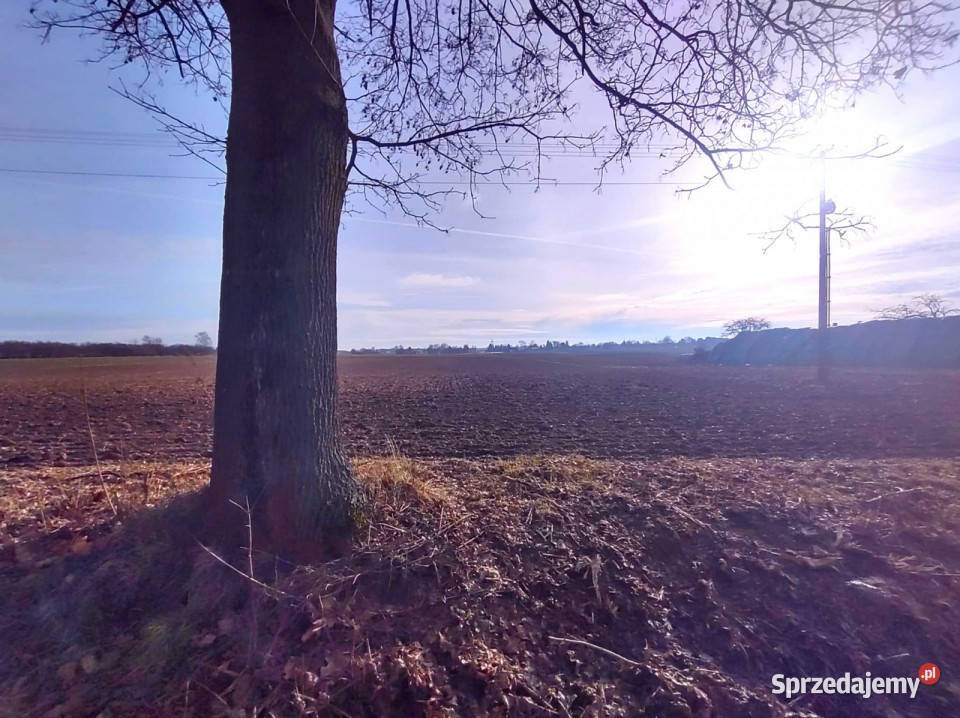 sprzedaży działki Palikije Drugie 4500m2 telefon