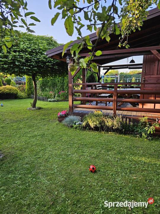 Działka ROD 217zł/m2 sprzedam