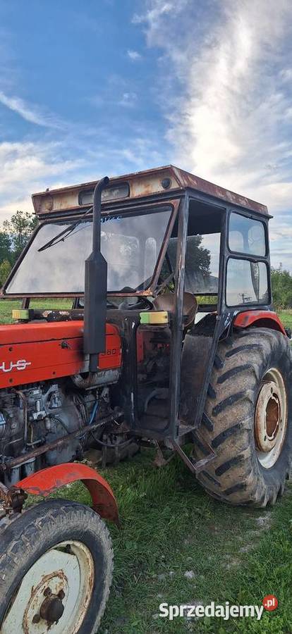 Kabina Eksportowa C360 Kabina i karoseria