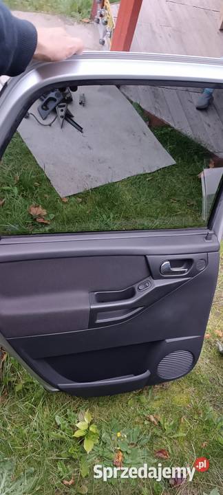 Drzwi kompletne i na części Rok produkcji 2009 śląskie Zabrze