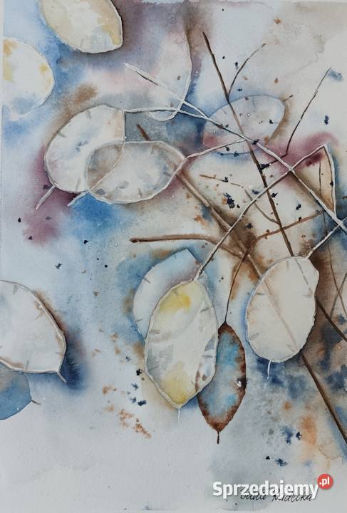Akwarela Akwarelka Obraz pt Lunaria Kołobrzeg