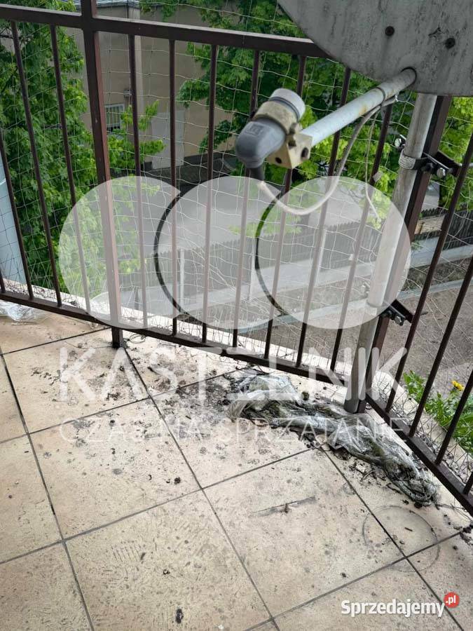 Sprzątanie gołębiach Lublin Kastelnik mycie